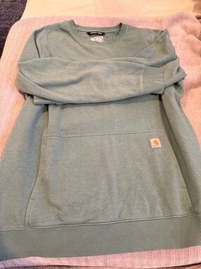 Carhartt Force Relaxed Fit Crewneck in Sage